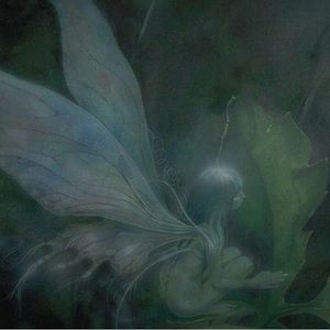 Meet your Posher, Ava